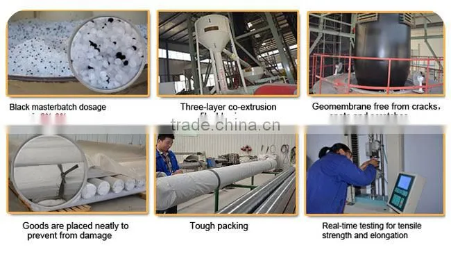 Arowana Fish Farm Pond Liner HDPE Geomembrane Black Rolls