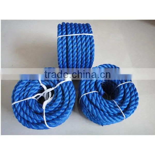 HIGH TENACITY PE ROPE(FACTORY )