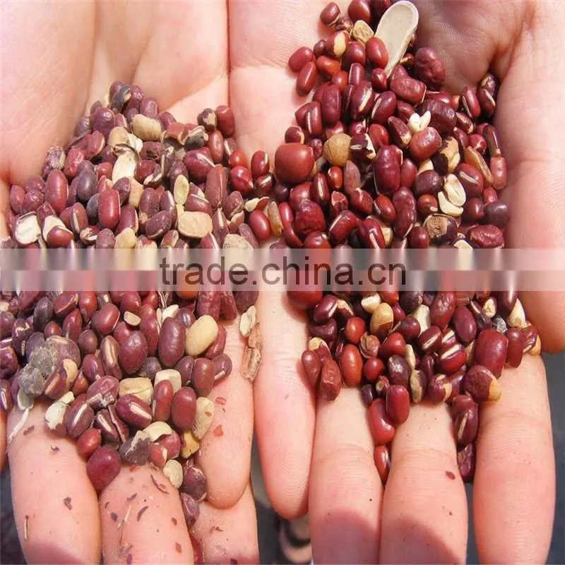 Soybean Mung Bean Cleaning Polishing Machine