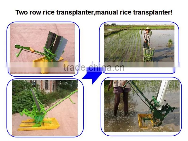 most popular agriculatural 2 rows manual rice transplanter for sale