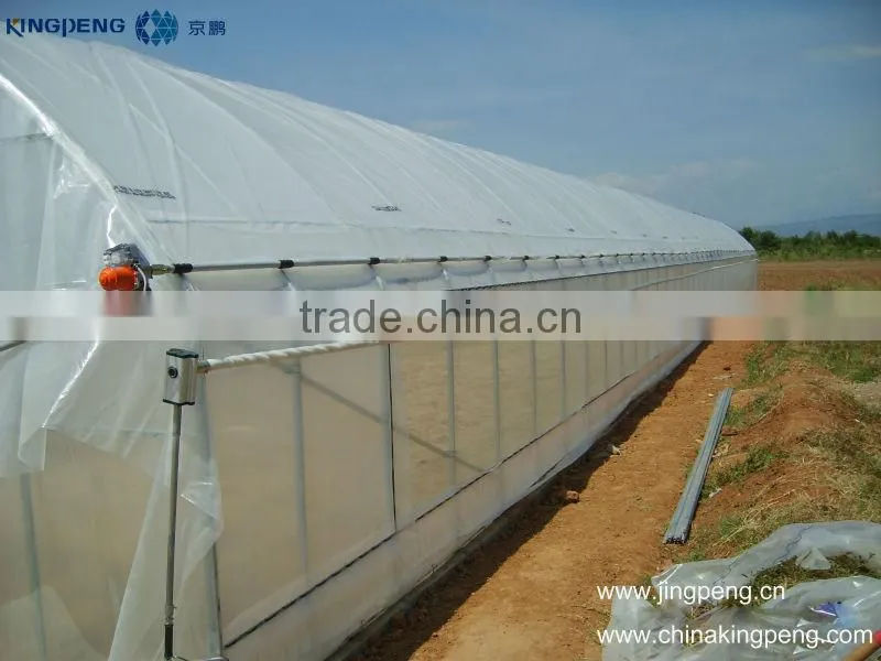 Polythene greenhouse