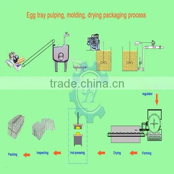 price competitive small egg tray machinery account factory