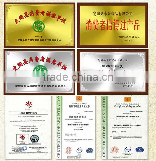 500g/bag INSTANT DRY ACTIVE YEAST