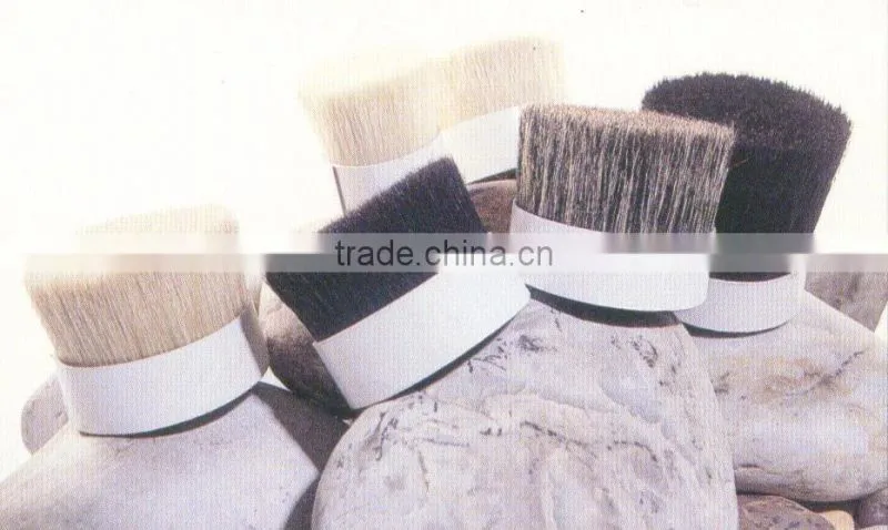 horse tail hairs
