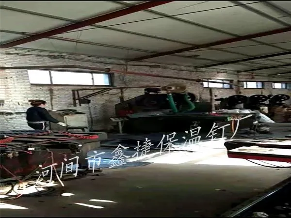 Hejian Xinjie Insulation Nail Factory company overview - view 2