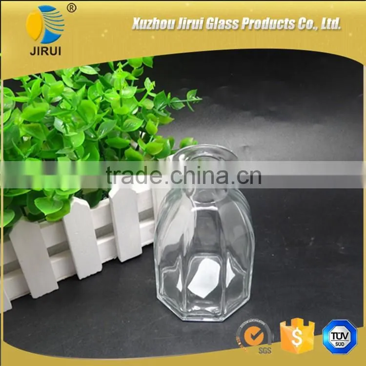 Larger Volume Diffuser Perfume Glass Bottle