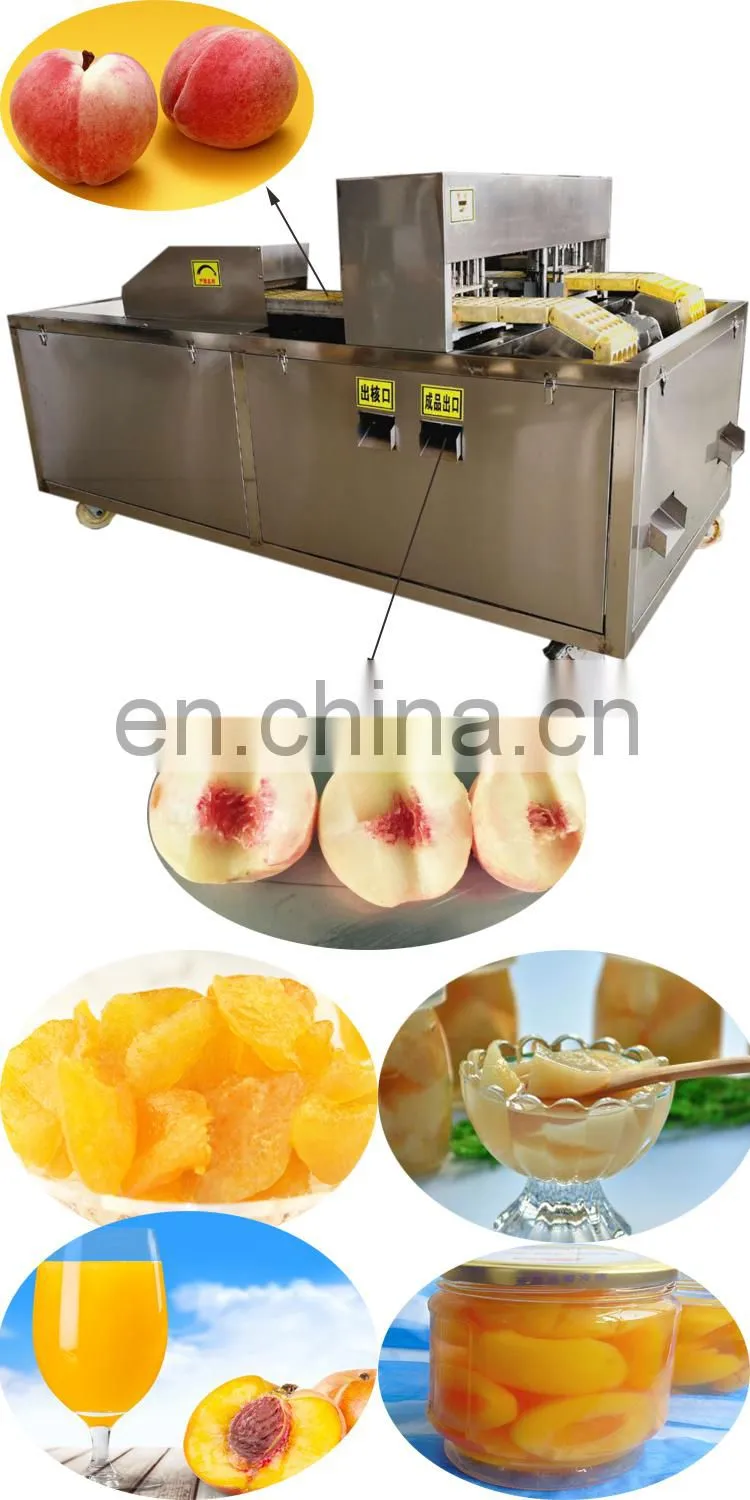 peach seed removing equipment peach nuclear pitting machine.