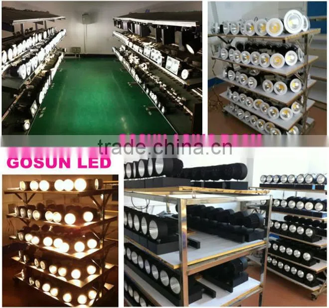 Hot selling 30W surface mounted LED downlight with CE/RoHS/SASO/SAA/GS certificate