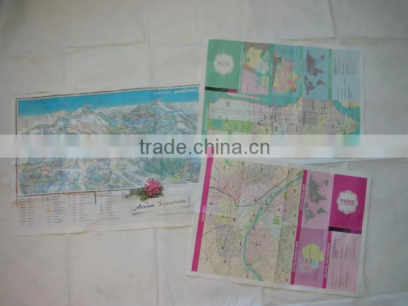 Tyvek map