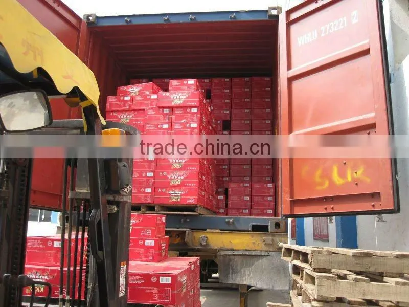 hot break tomato paste 18-20%2.2kg