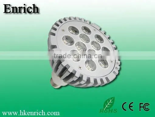 LED Par Light