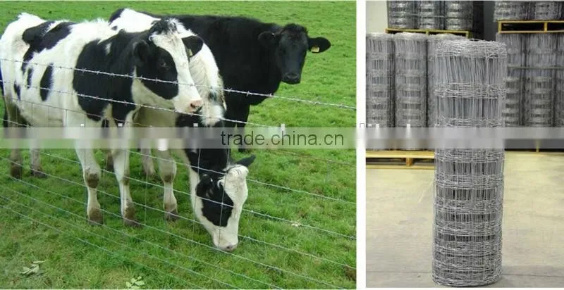 Anping hot sale cheap cattle rail fence