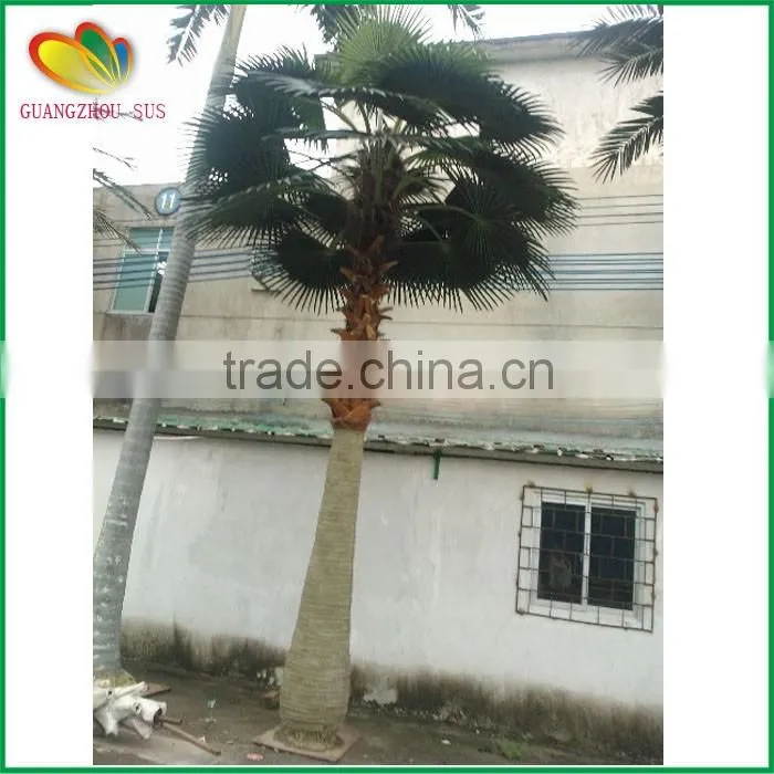 Hot sale artificial fan palm tree fiberglass artifcial palm tree