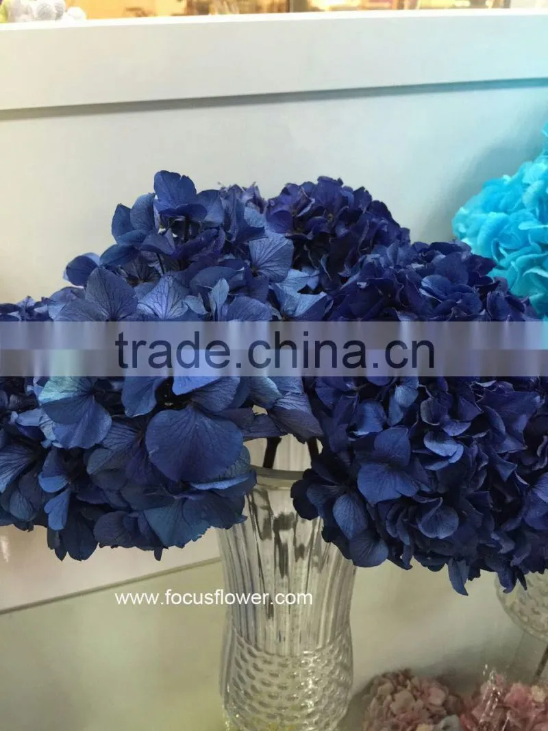 Wholesale Preserved Flower White Hydrangea With High Quality