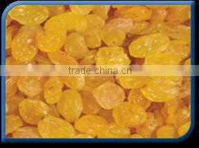 Sultana golden raisins