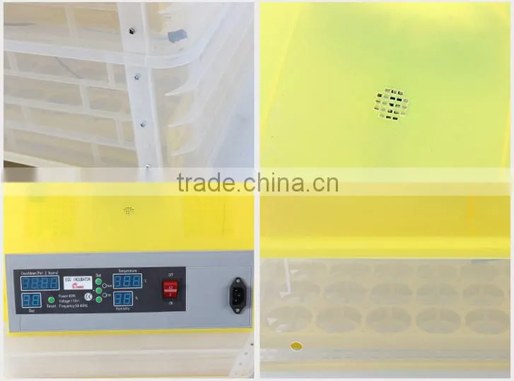 Small little turtle incubator / automatic egg incubator