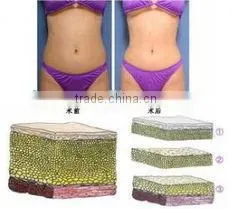 H-9008B 2015 New 650nm diode laser weight loss slimming machine for body shapping