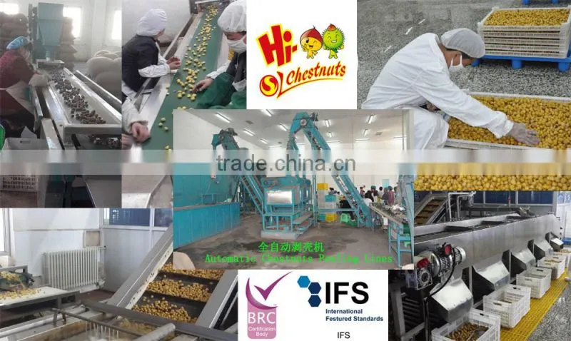 IQF Chestnuts Frozen Chestnut Kernel for sale