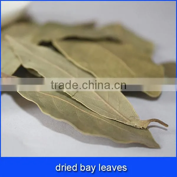 dried bay leaves