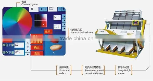 salt,sugar,cereal color sorter(CCD)zk4