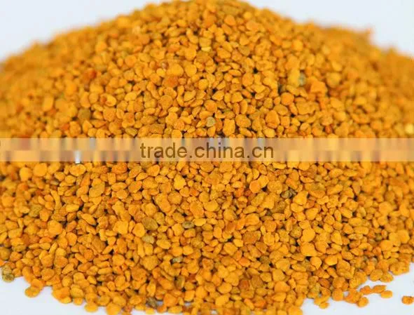 EU standard sweet and colorful camellia bee pollen for human eat