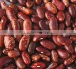 Red kidney bean ccd color sorter, more stable and more suitable
