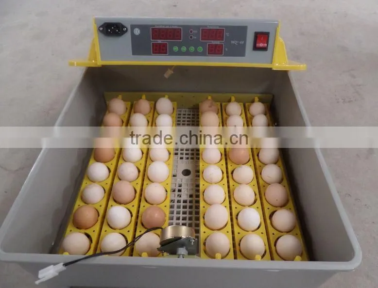 jn8-48 egg incubator 48 eggs family use