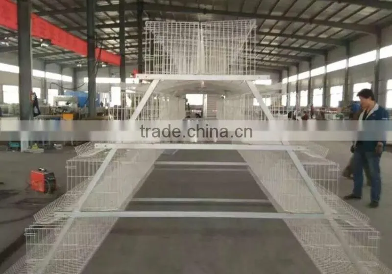 battery chicken cage/layer chicken battery cage/chicken layer cage for sale