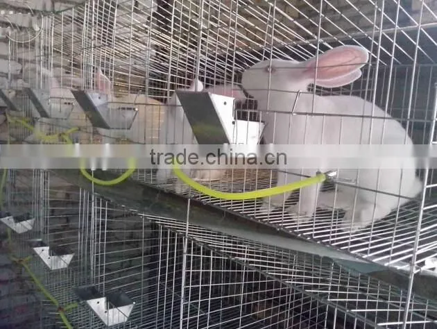 Top Promotion Double Rabbit Hutch For Sale