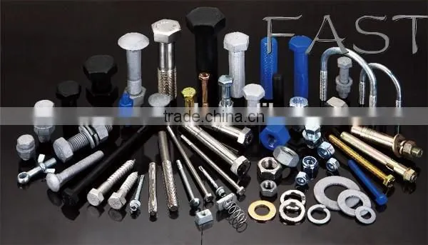 Non Standard Stainless Steel Fastener Bolt Screw with CNC Machining Service