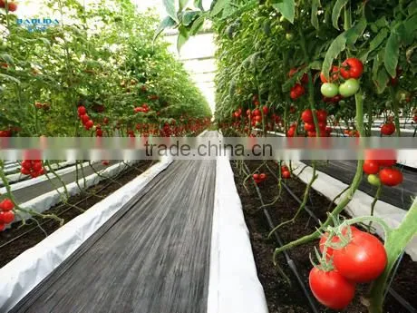 plastic for agricultural greenhouse