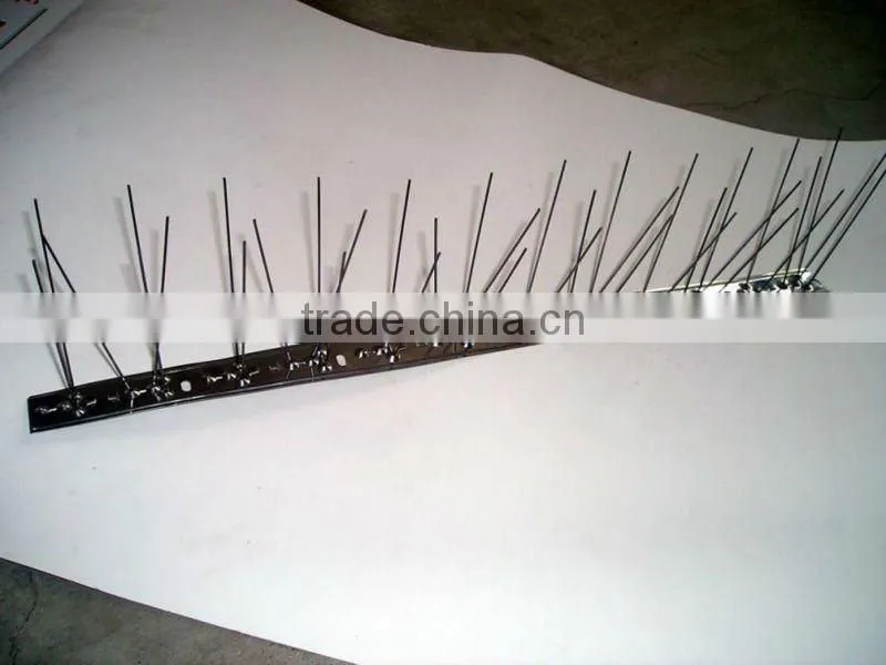 plastic base stainless steel bird spike