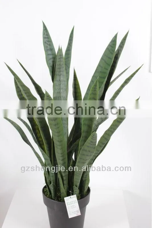 GuangZhou SJ artificial plants/artificial green sansewieria