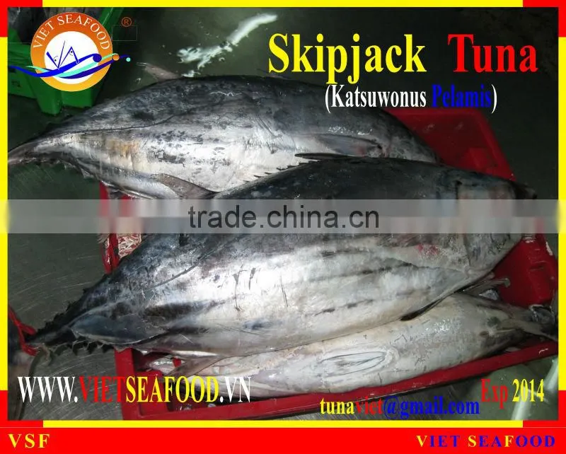 FROZEN W/R SKIPJACK TUNA