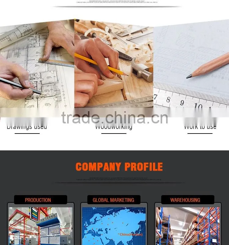 Professional Stainless Steel Ruler