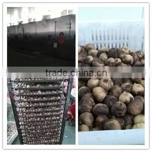 Good Quality Black Garlic