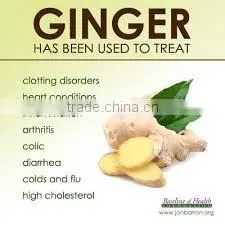 Fresh Ginger/