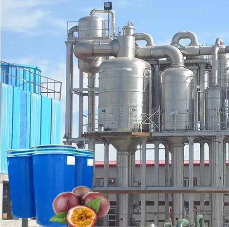 Passion Fruit Pulp Processing Production Line