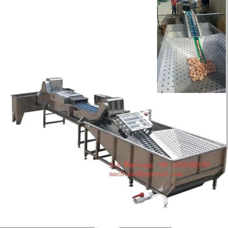Egg Cleaning Sorting Packing Line