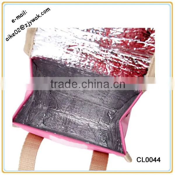 2014 Fashion Reusable Cool Lunch Box Ice Pack Bag