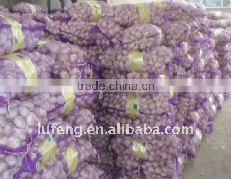 Chinese Fresh Garlic