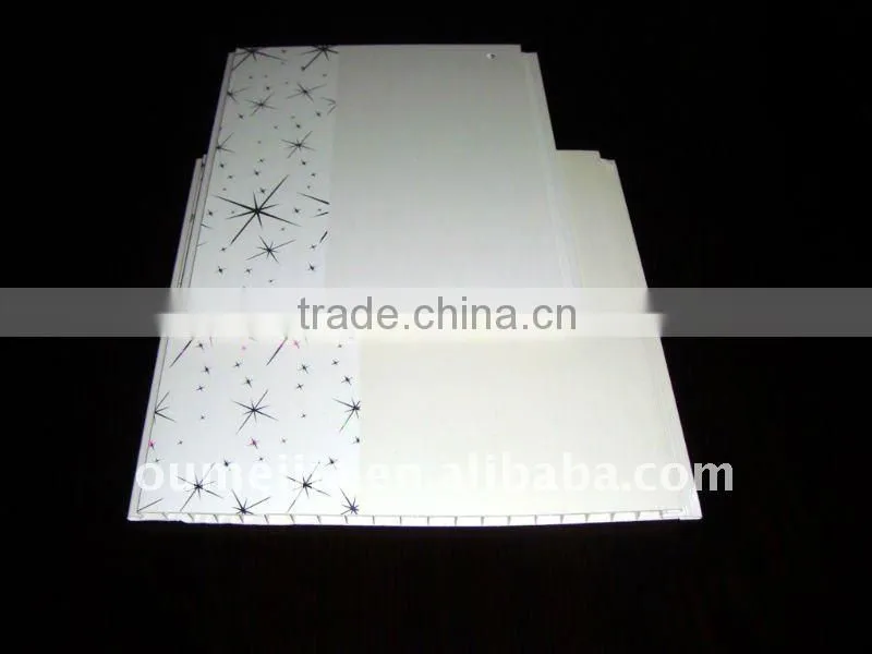 PVC ceiling panel