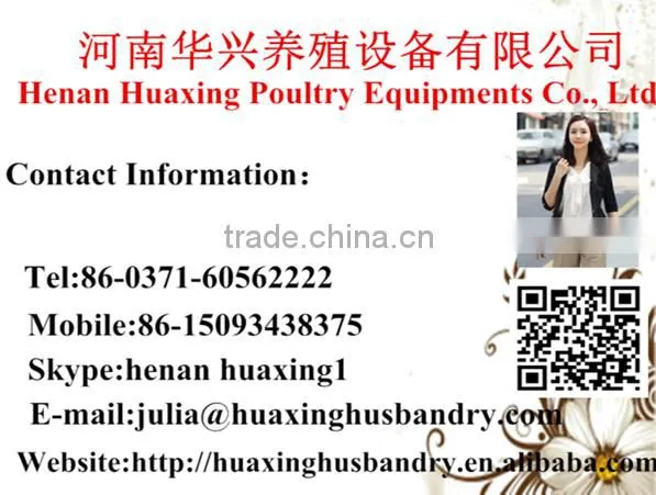 automatic chicken layer cage for sale in philippines