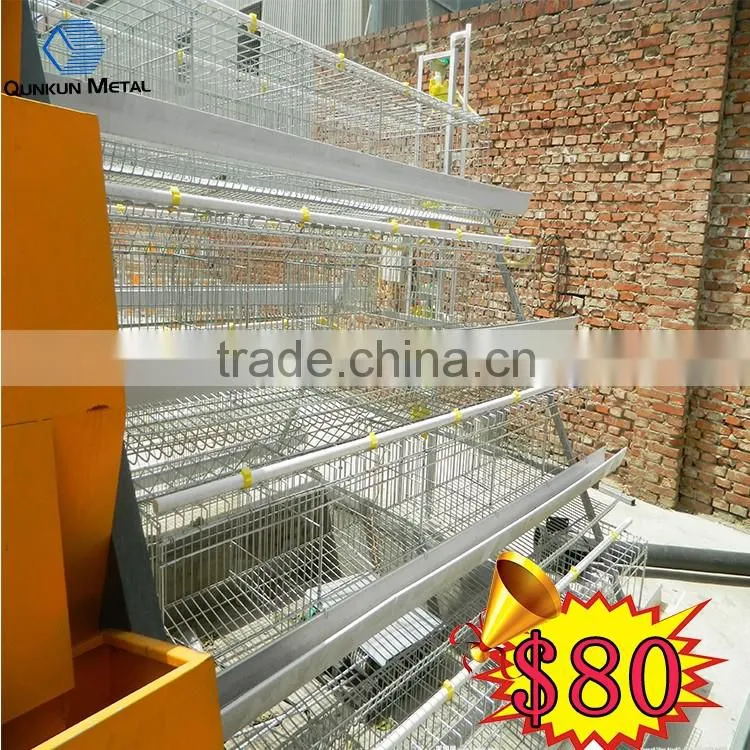Tuv Certification Factory Poultry Farming Equipment For Sale from qunkun