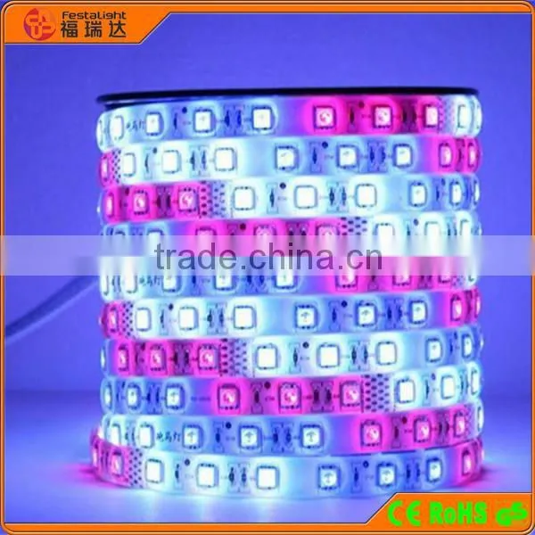 RGB Christmas decotation LED strip light