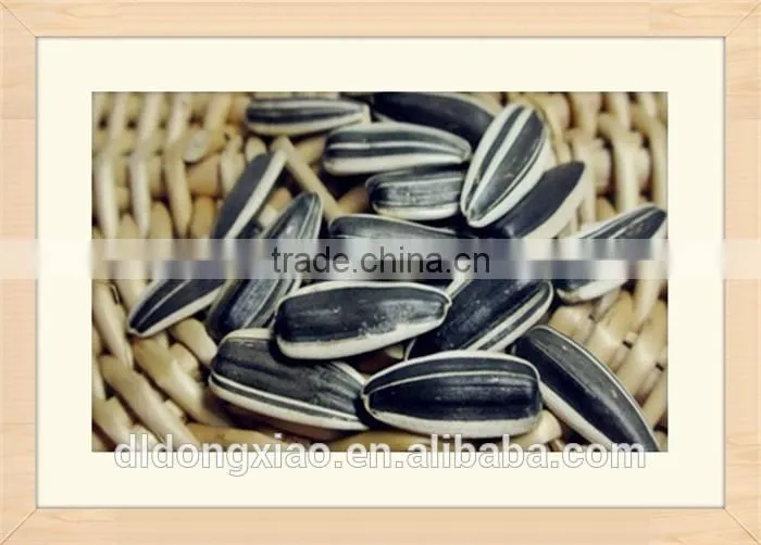 China, Hot Sale Raw Sunflower Seeds,2014