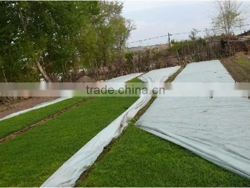 Weed Control Fabric, Ground Cover, PP Spunbond Non woven Landscape Fabric