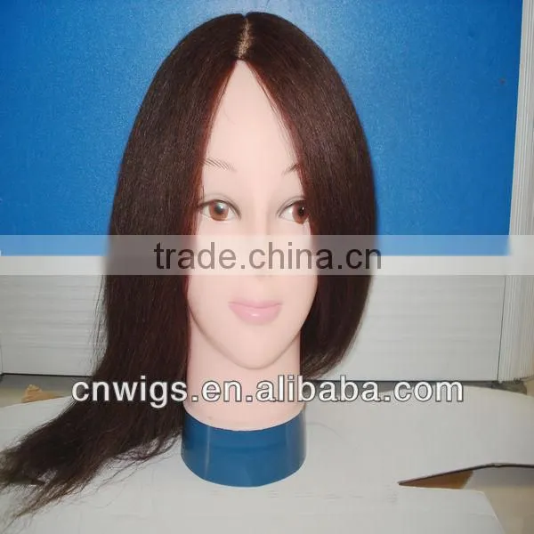 Custom Made male training head with 100% human hair