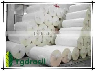 tissue paper parent roll
