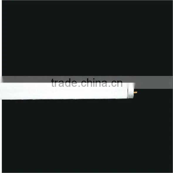 T8 fluorescent lamp